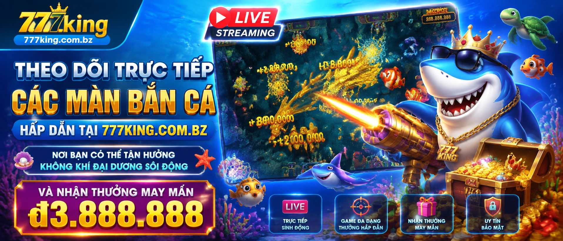 777king banca