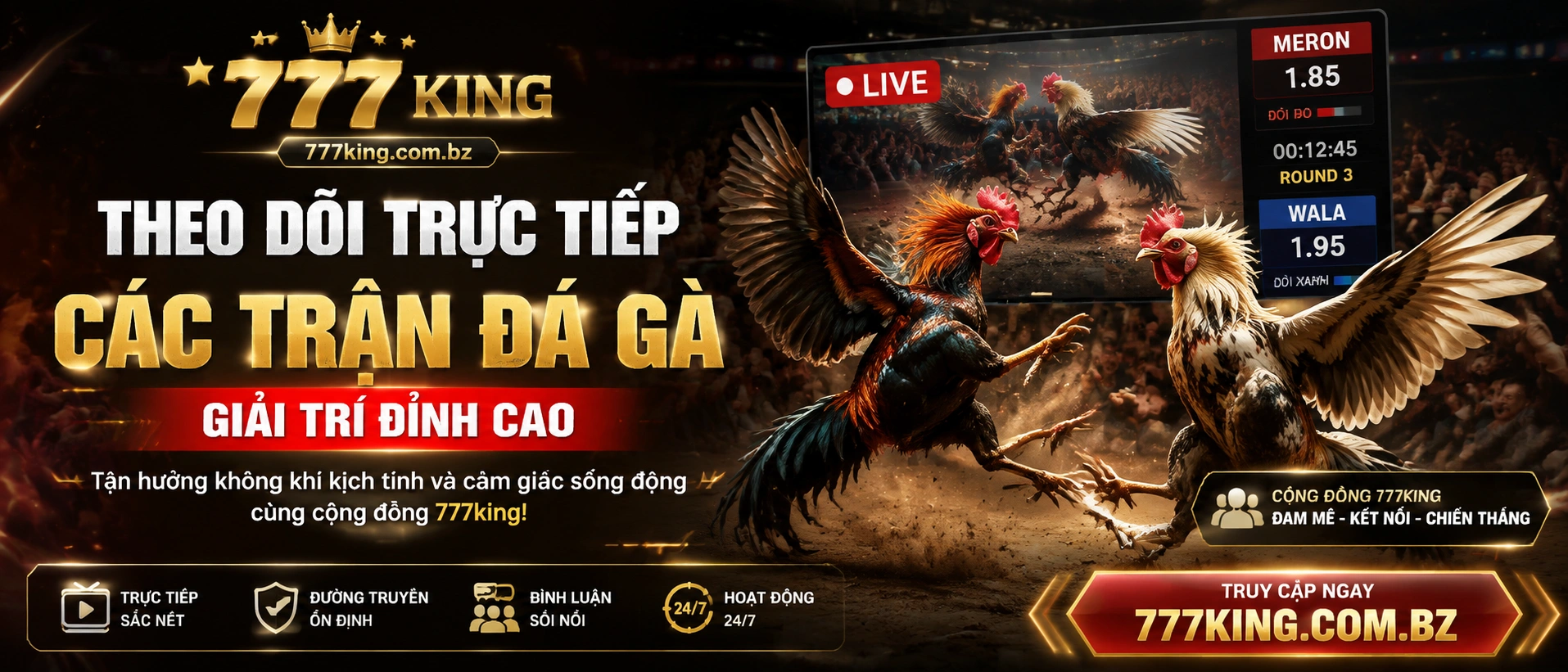 777King Đá Gà nội dung nổi bật